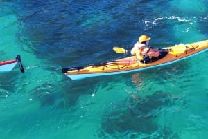 Auckland: Kajaktocht naar Tiritiri Matangi Island