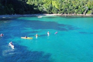 Auckland: Kajaktocht naar Tiritiri Matangi Island