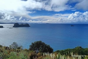 Auckland to Coromandel: Private Coastal Escape