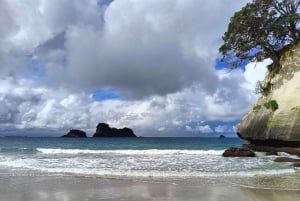 Auckland to Coromandel: Private Coastal Escape