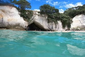Auckland to Coromandel: Private Coastal Escape
