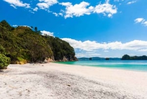Auckland to Coromandel: Private Coastal Escape