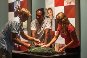 Auckland to Paihia via West Coast Small Group Tour (One Way)