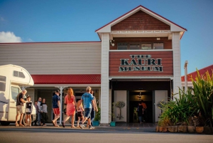 Auckland to Paihia via West Coast Small Group Tour (One Way)