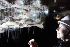 Auckland to Rotorua via Waitomo Caves One Way Private Tour