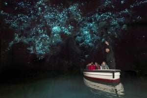 Auckland to Waitomo Caves Private Tour