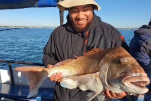 Auckland: Hämärän kalastusretki klo 17.00–21.30