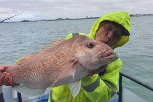 Auckland: Hämärän kalastusretki klo 17.00–21.30