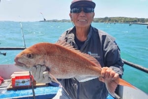 Auckland: Hämärän kalastusretki klo 17.00–21.30