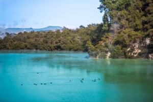 Auckland: Wai-O-Tapu and Lake Taupo Private Day Tour