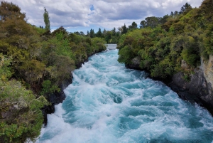 Auckland: Wai-O-Tapu and Lake Taupo Private Day Tour
