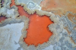 Auckland: Wai-O-Tapu, Maori Haka & Hot Springs Rotorua Tour