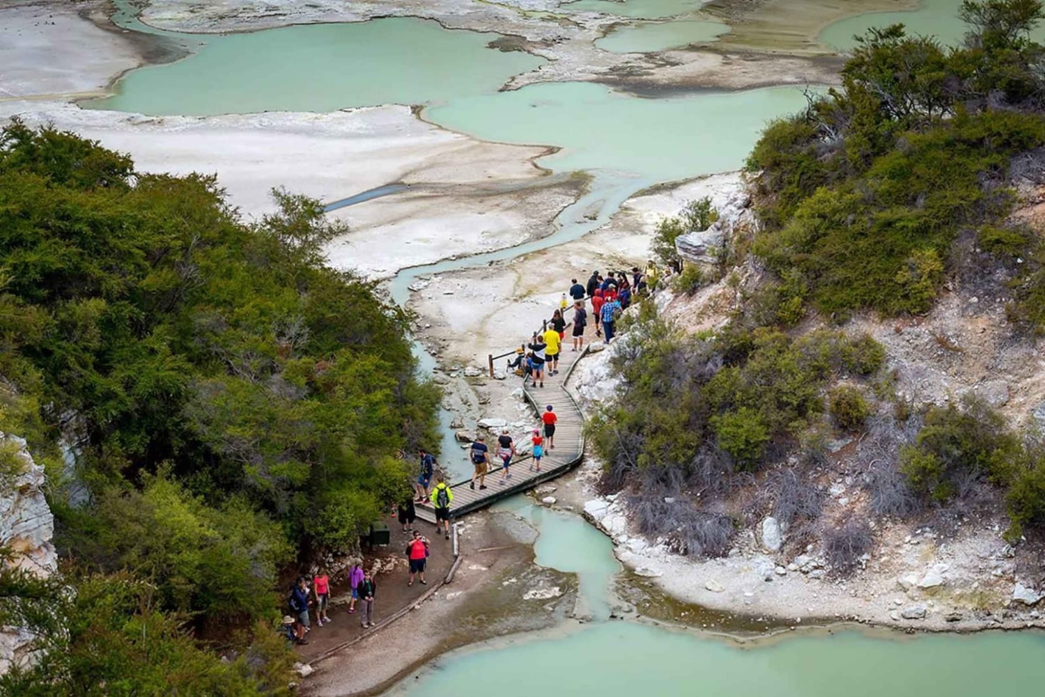 Auckland: Wai-O-Tapu & Wai Ariki Hot Springs Day Tour
