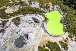 Auckland: Wai-O-Tapu & Wai Ariki Hot Springs Day Tour