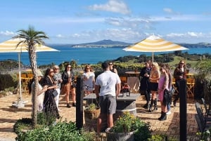 Waiheke Island: Guided Boutique Wine Tour with Wine & Views