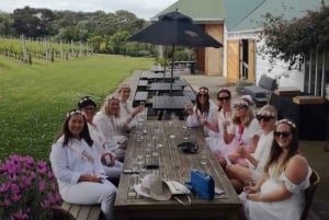 Waiheke Island: Guided Boutique Wine Tour with Wine & Views
