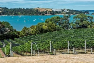Auckland: Waiheke Island Luxury Experience Private Tour