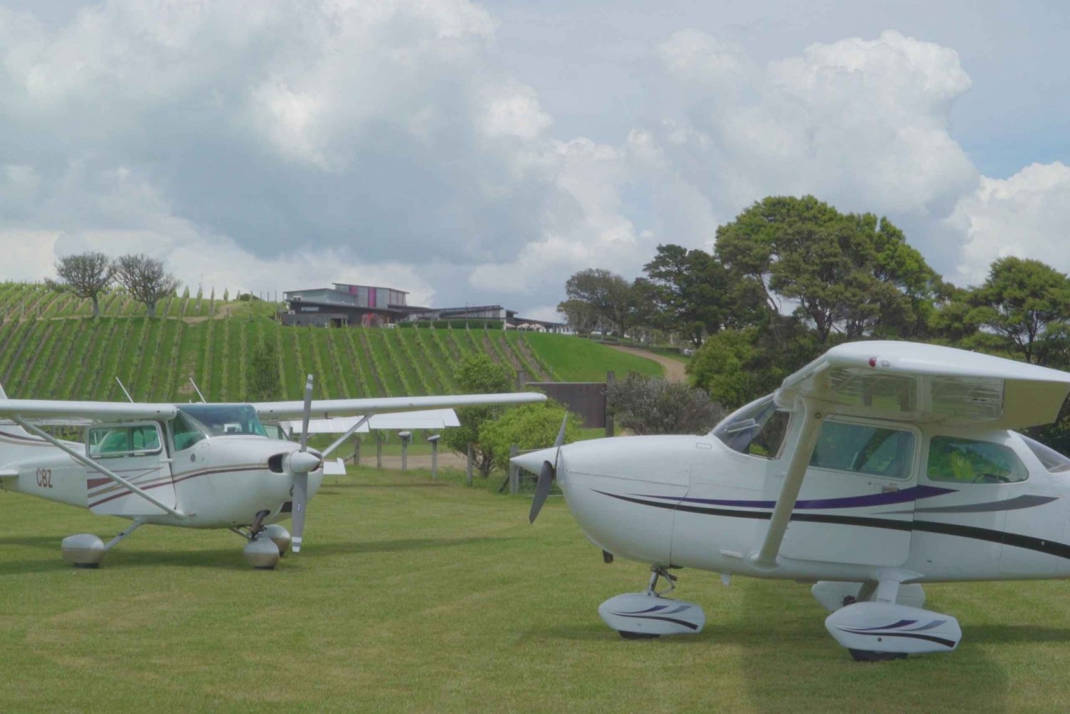 Auckland: Waiheke Island Wine and Food Tasting with Flights
