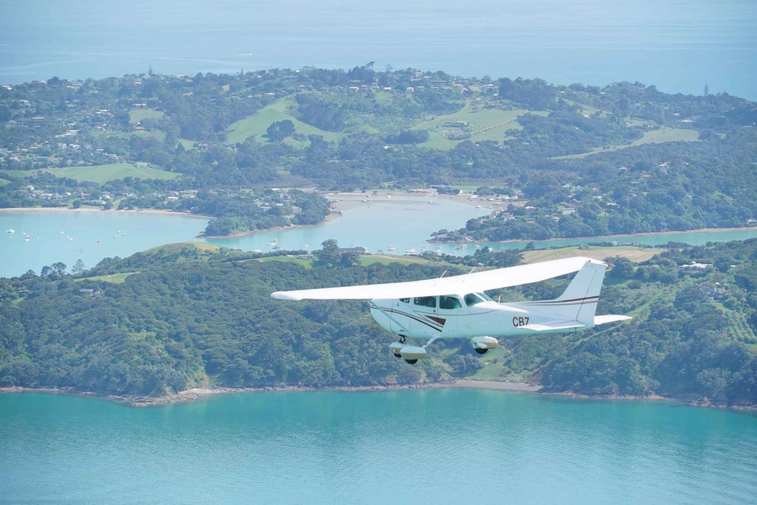 Auckland: Waiheke Island Wine and Food Tasting with Flights