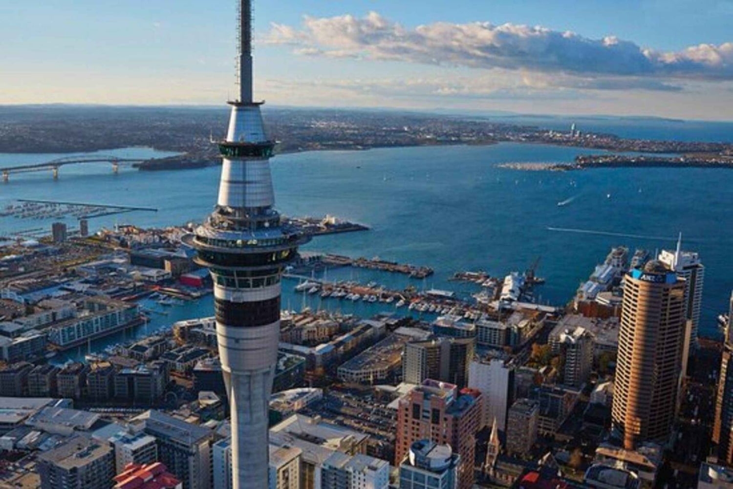 Auckland: Waiheke Island Wine and Food Tasting with Flights