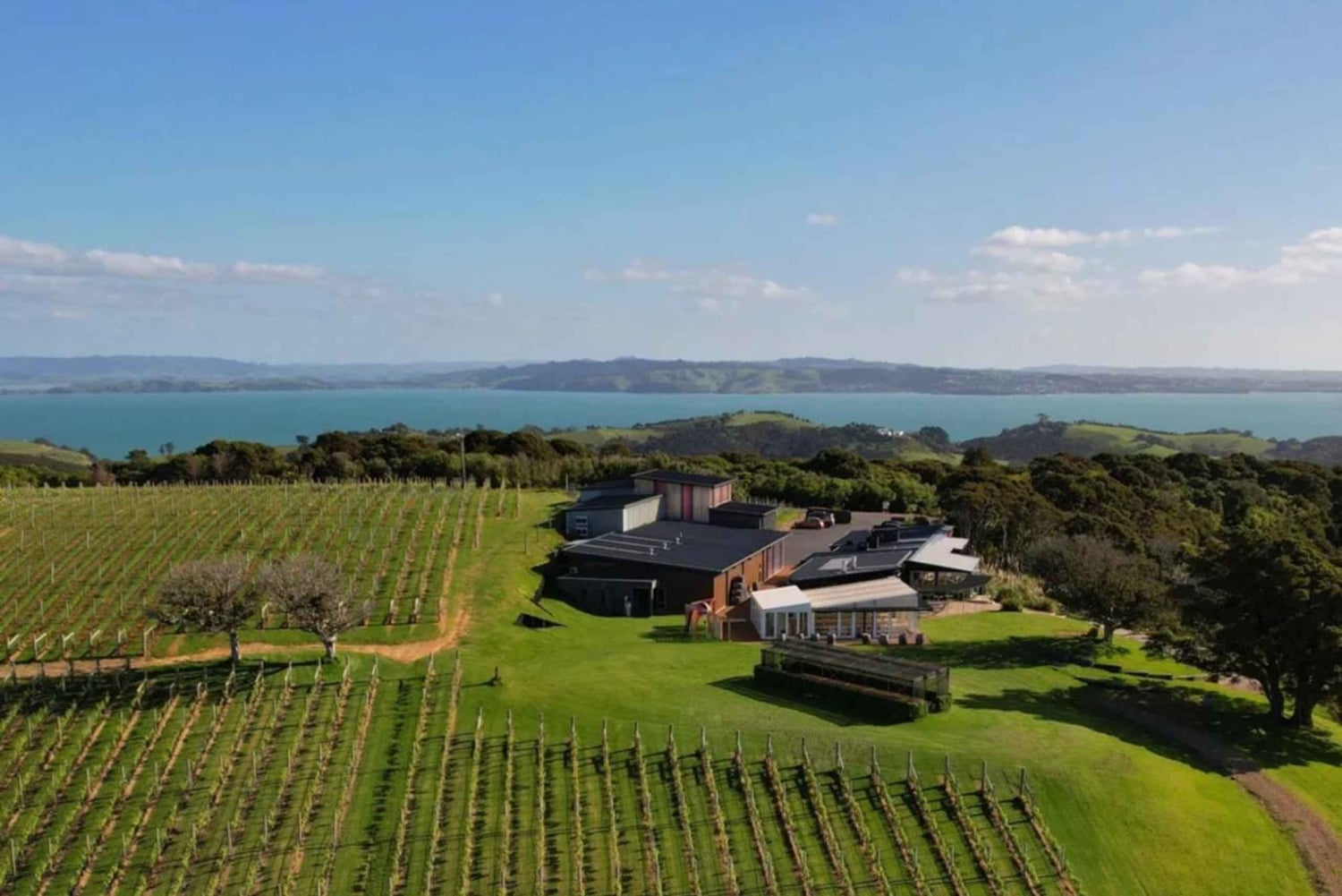 Auckland: Waiheke Island Wine and Food Tasting with Flights