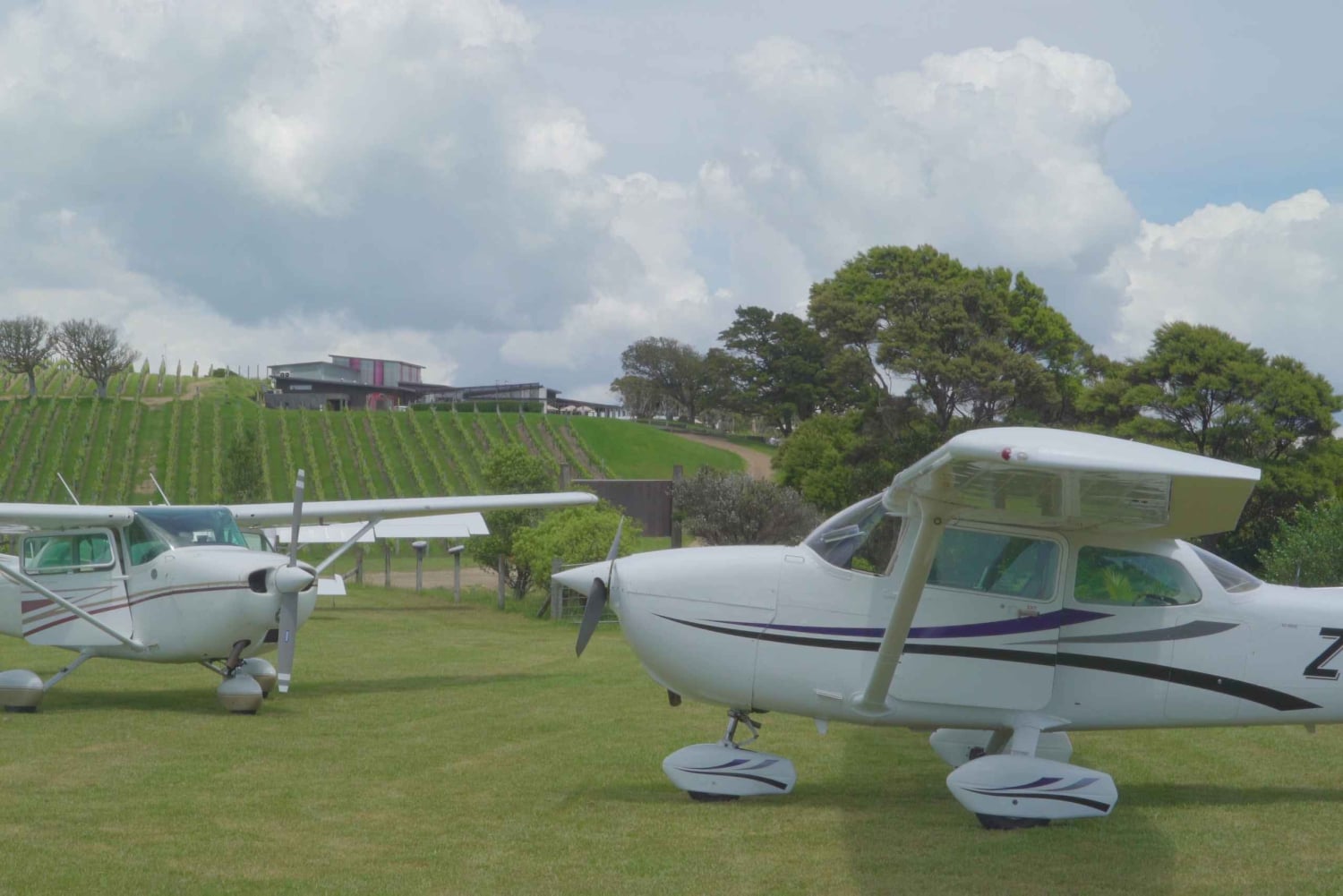 Auckland: Waiheke Island Wine and Food Tasting with Flights