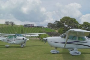 Auckland: Waiheke Island Wine and Food Tasting with Flights