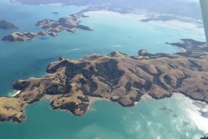 Auckland: degustazione di vini e cibi dell'isola di Waiheke con voli