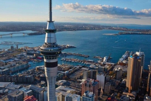 Auckland: Waiheke Island Wine and Food Tasting with Flights