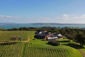 Auckland: Waiheke Island Wine and Food Tasting with Flights