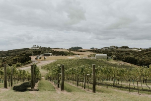 Auckland: Waiheke Island Wine and Food Tasting with Flights