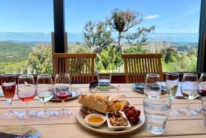 Auckland: Waiheke Island Wine and Food Tasting with Flights