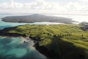 Auckland: Waiheke Island Wine and Food Tasting with Flights