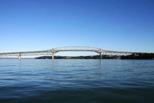 Auckland: Waitematā Harbour Cruise -risteily live-selostuksella