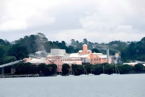 Auckland: Waitematā Harbour Cruise -risteily live-selostuksella