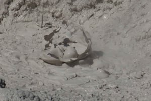 Окленд: пещеры Вайтомо и Роторуа — экскурсия для небольшой группы в Те Пуиа