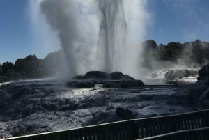 Окленд: пещеры Вайтомо и Роторуа — экскурсия для небольшой группы в Те Пуиа