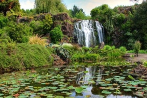 Auckland Vattenfall Tour