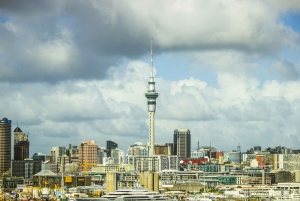 Auckland Welcome Tour: Private Tour with a Local