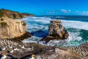Auckland: Strände der Westküste, Brauerei mit Mittagessen und Tour