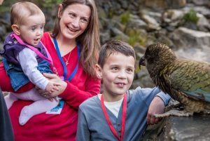 Auckland Zoo: Entry Ticket
