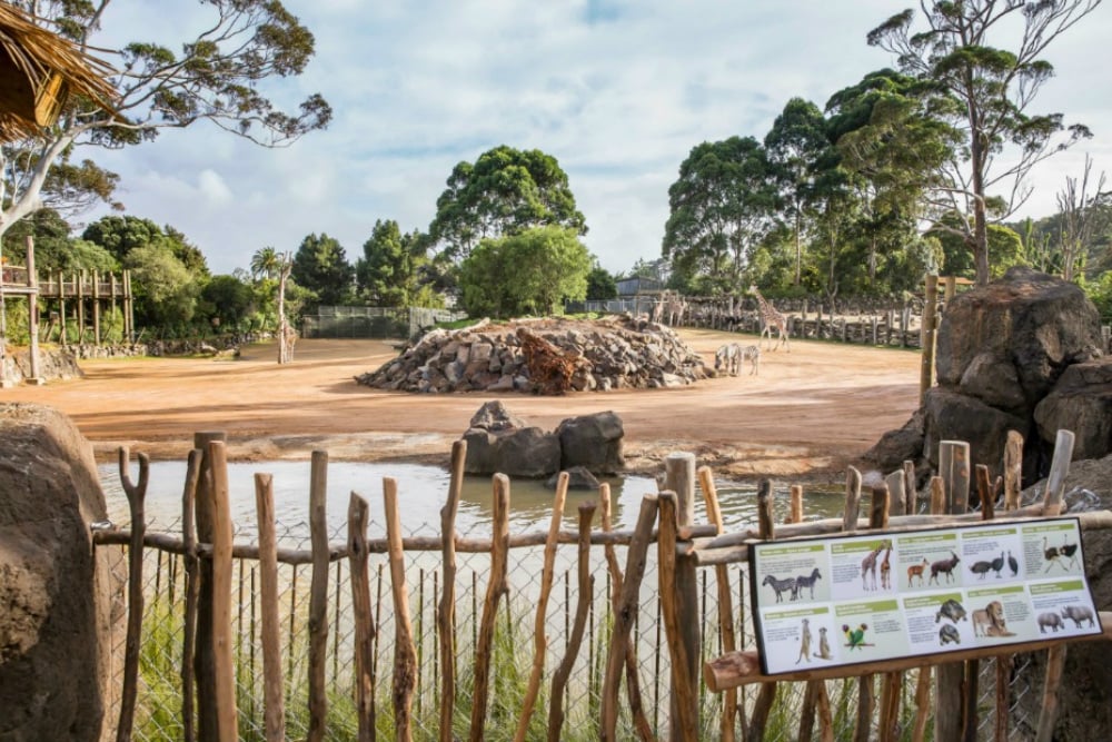 Auckland Zoo