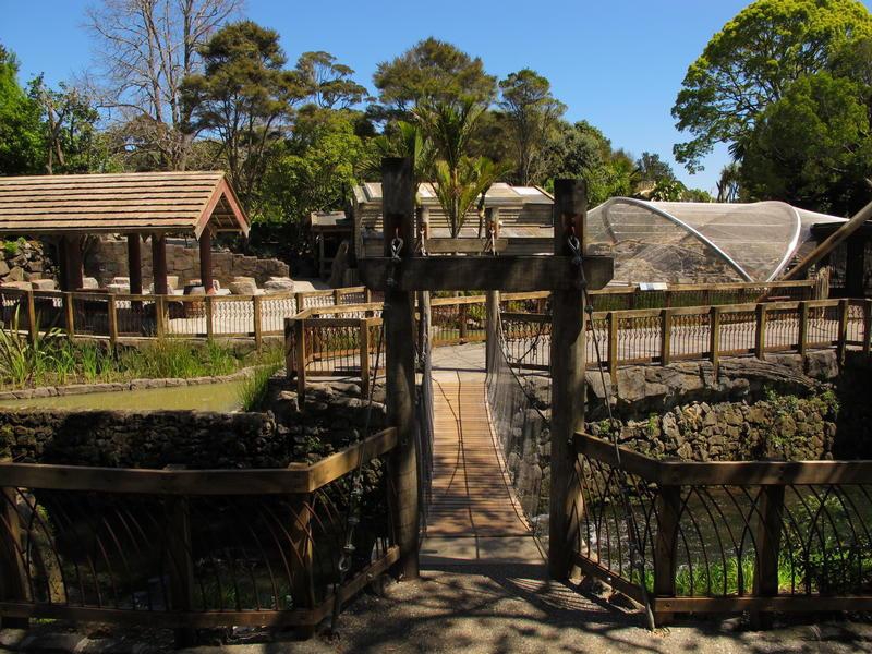 Auckland Zoo in Auckland My Guide Auckland