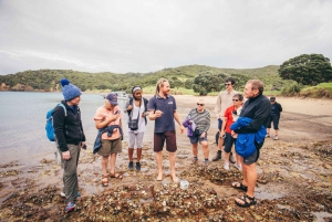 Bay of Islands Journey: Sail, Snorkel & Explore in 5 Days