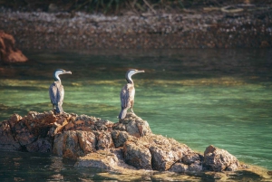 Bay of Islands Journey: Sail, Snorkel & Explore in 5 Days