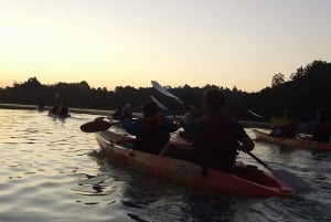 Bioluminescence Kayak Tour