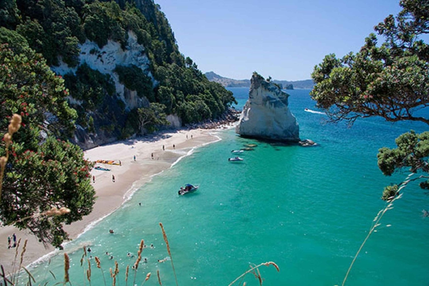 Cathedral Cove, Hot Water Beach, Coromandel-tur från Auckland