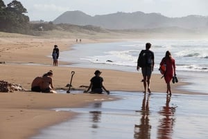 カテドラル・コーブ、ホットウォータービーチ、コロマンデルツアー（オークランド発）