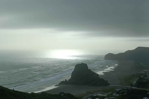 'By, kyst og land' – en afslappet dagstur fra Auckland