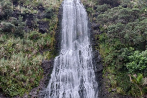 'By, kyst og land' – en afslappet dagstur fra Auckland